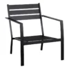 Crosby St Grammercy Black Steel Outdoor Sling Chair