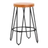 Honeybloom Bristol Counter Stool