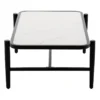Laila Ali Sydney Outdoor Glass-Top Coffee Table