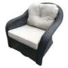 Providence Glendale Rattan Swivel Glider
